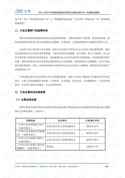 2021-2025年中国电网信息技术服务行业调研及集中专一化战略咨询报告