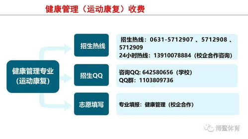 山东药品食品职业技术学院运动康复方向单招与综合评价招生详解及信息技术咨询服务指引