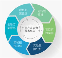 走进八月 探秘ELISA试剂盒与现代信息技术咨询服务的创新融合