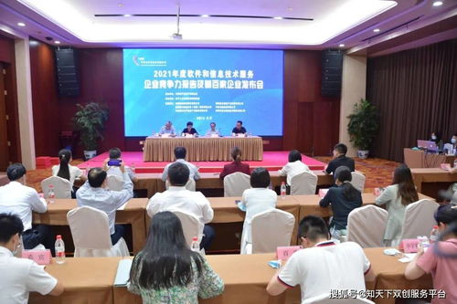 《软件和信息技术服务企业竞争力报告》重磅发布，信息技术咨询服务成新增长极