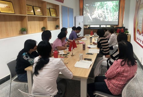 信息技术咨询服务助力新时代——图书馆信息咨询技术部党支部庆祝建国70周年主题党日活动侧记