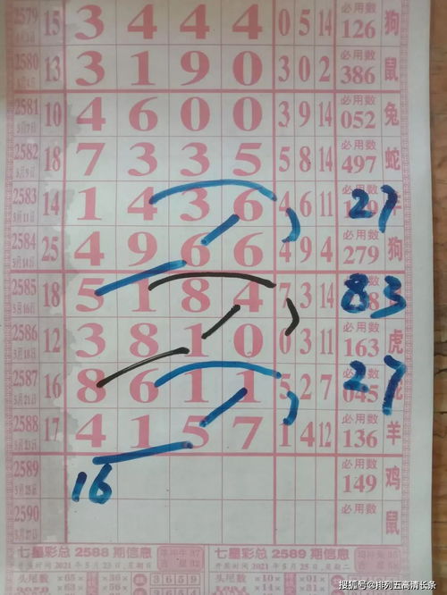 2589期七星彩海南特区 老马小雨大师分解规律图与信息技术咨询服务解析