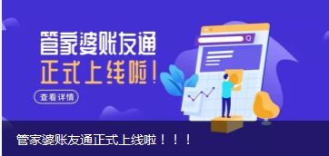 南京与扬州地区管家婆软件全方位技术支持与服务指南